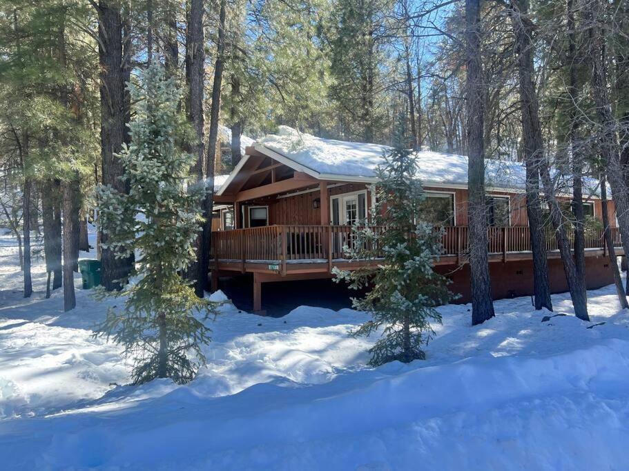 The Bluejay Cabin At Munds Park, Az! Седона Екстериор снимка