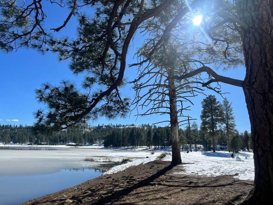 The Bluejay Cabin At Munds Park, Az! Седона Екстериор снимка