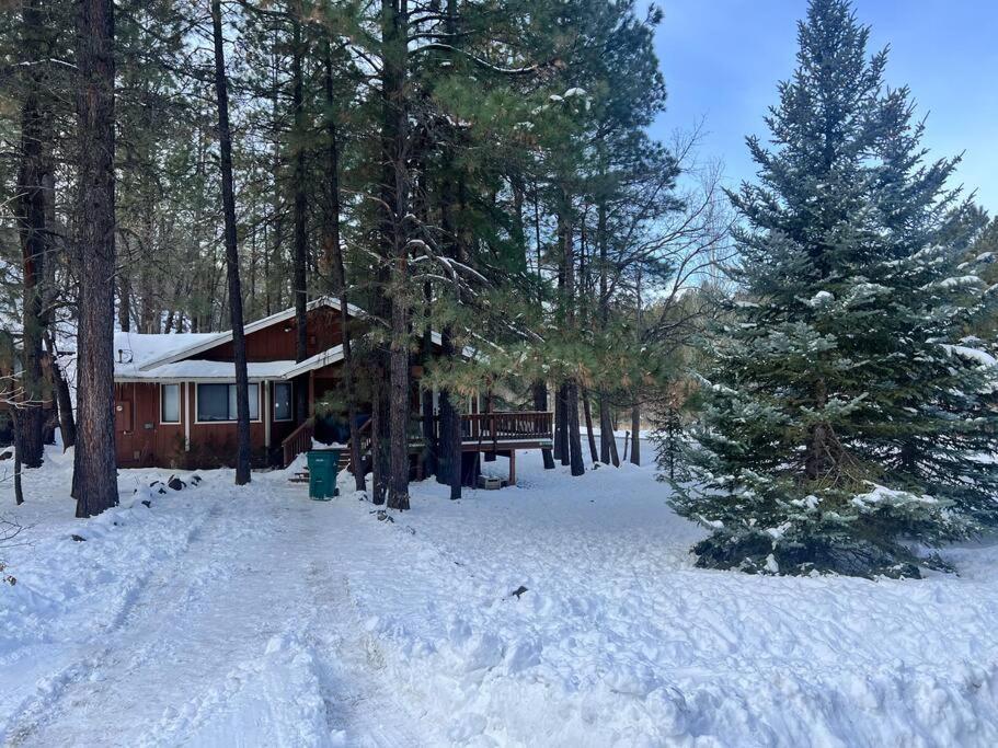 The Bluejay Cabin At Munds Park, Az! Седона Екстериор снимка