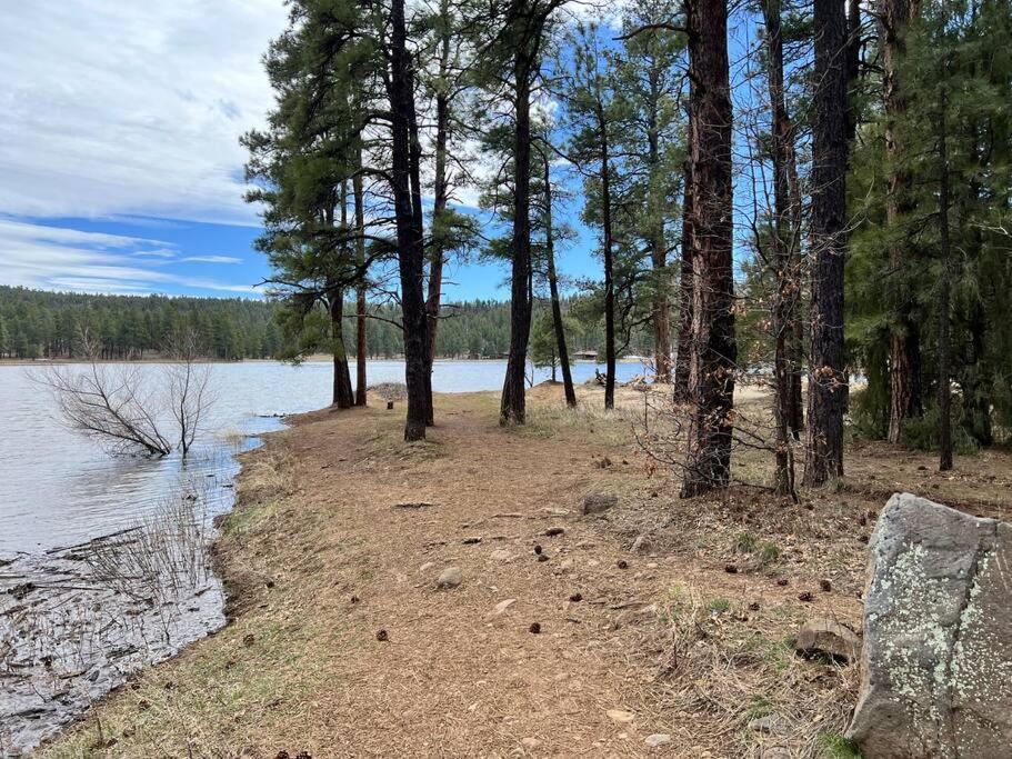 The Bluejay Cabin At Munds Park, Az! Седона Екстериор снимка